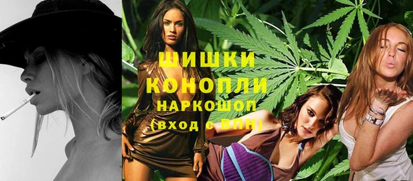 амф Пестово
