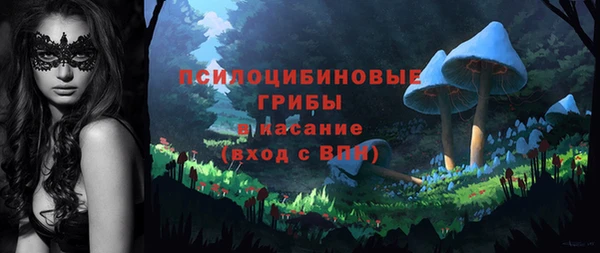 бошки Алексин